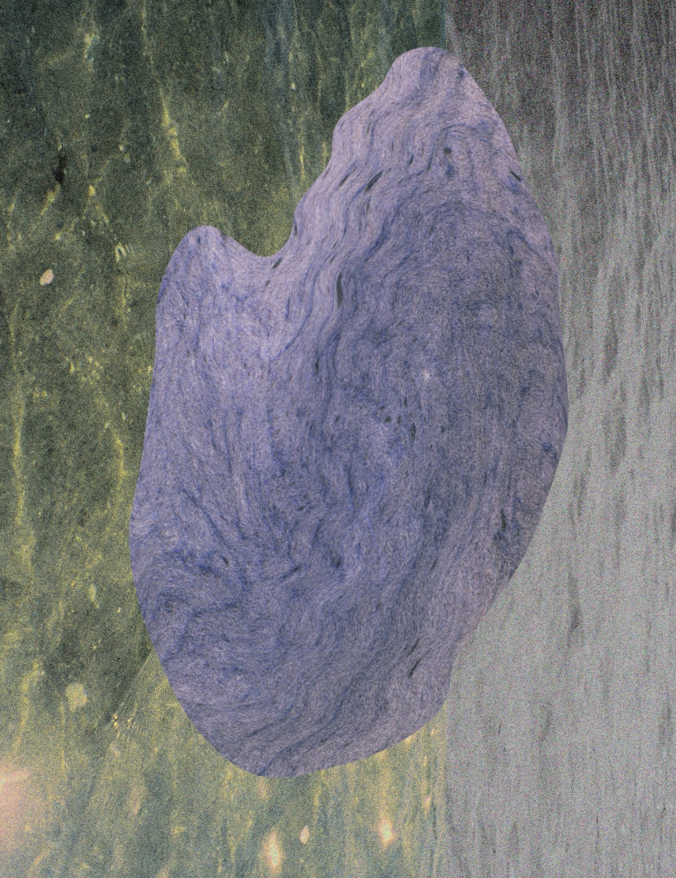 Ocean Visuals