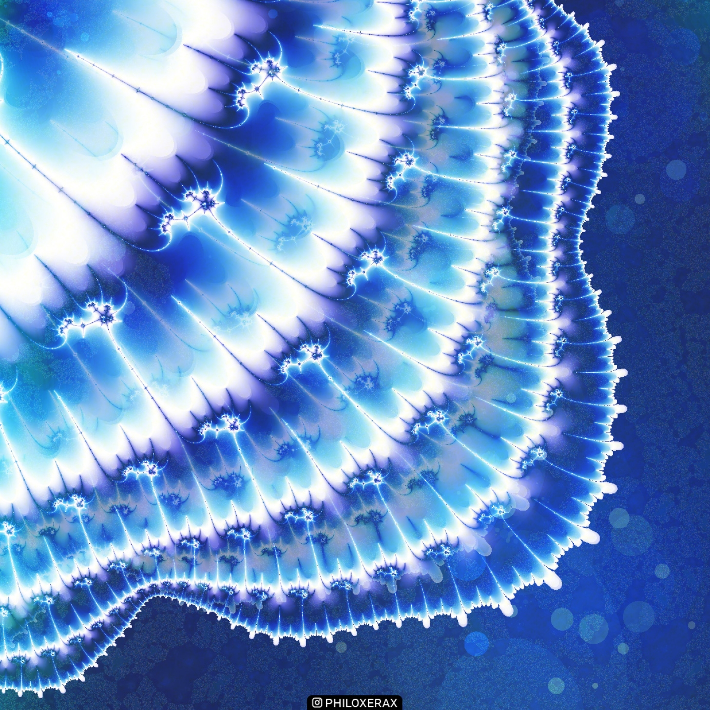 Fractal 047 A | Shell 2