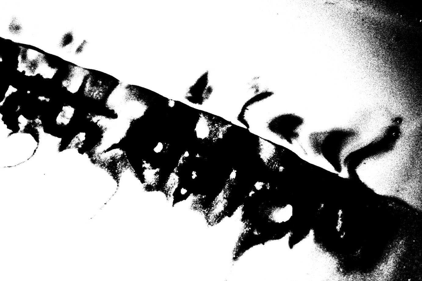 A black and white grainy image of printed Hindi words placed in water and bleeding out. 