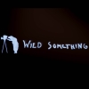 Profile picture for user wildsomething