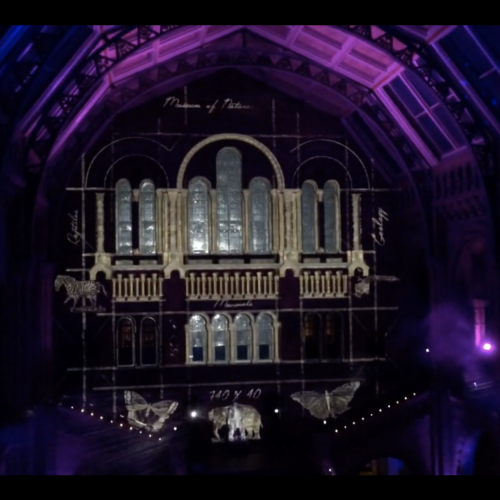 Live visuals for Butch Auntie by Nat Urwin