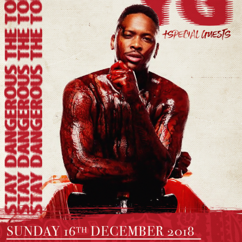 Artwork for YG by whelaninho