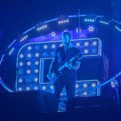 Live photography for chase n status by Gingerhorticulture