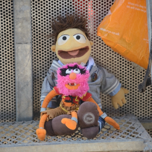 Live photography for by Gingerhorticulture