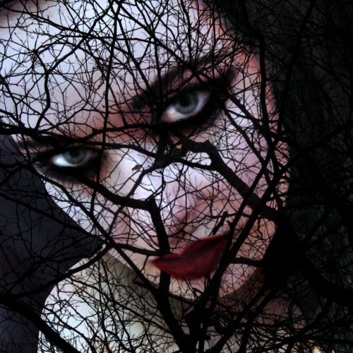 Photography for by PurpleHurricane