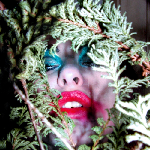 Photography for by PurpleHurricane