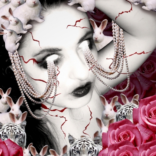 Photography for by PurpleHurricane