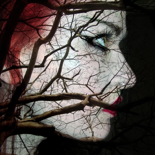 Photography for by PurpleHurricane