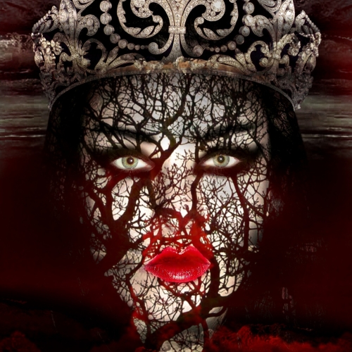 Photography for by PurpleHurricane