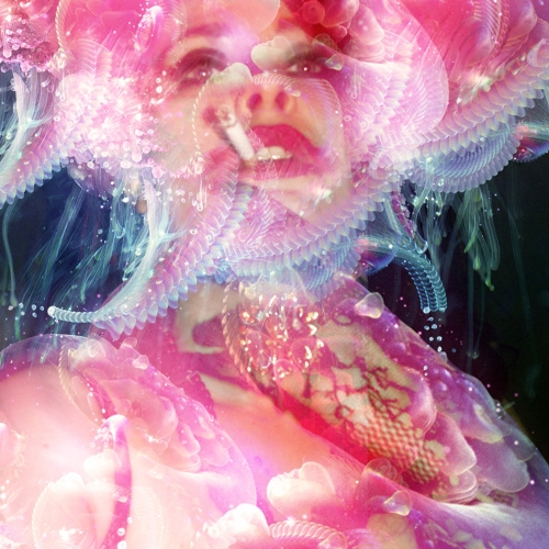 Photography for by PurpleHurricane