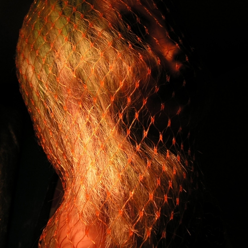 Photography for by PurpleHurricane