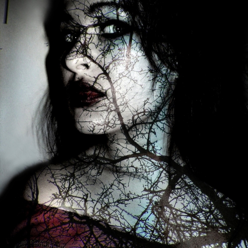 Photography for by PurpleHurricane