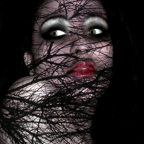 Photography for by PurpleHurricane