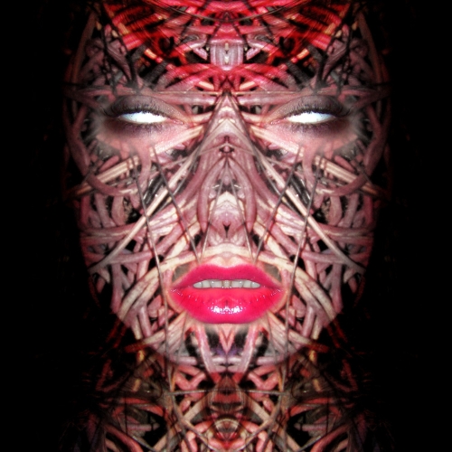 Photography for by PurpleHurricane