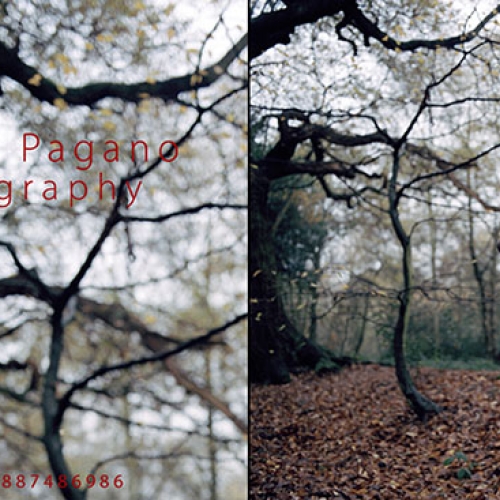 Photography for Various artists by Antonio Pagano