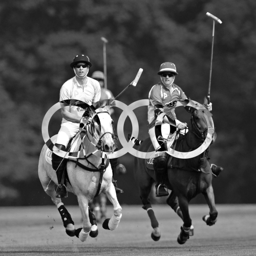 Graphic design for Audi Polo Challenge