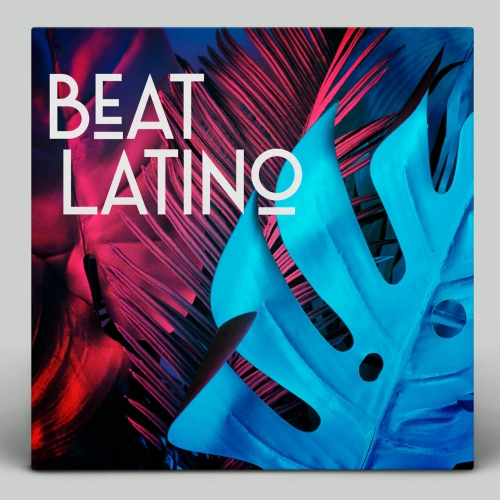 Artwork for X5 Music Group by studiomoko