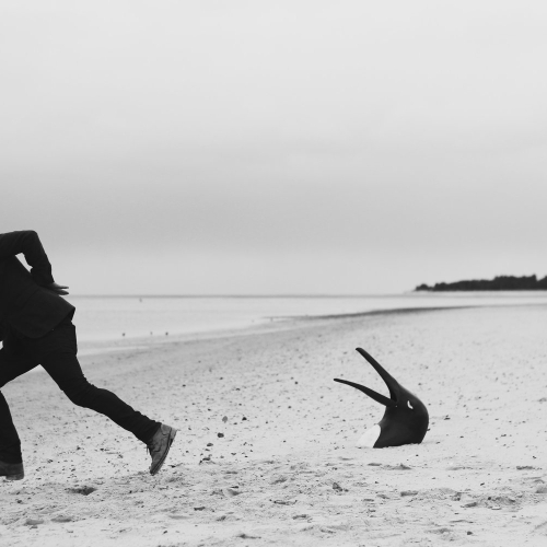 Photography for Various by alex_kozobolis