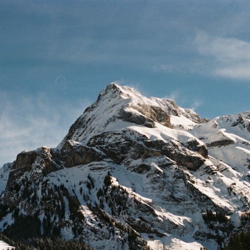 Photography for by florediamant