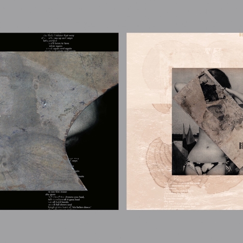 Graphic design for Dead Leaf Echo by TimothyODonnell