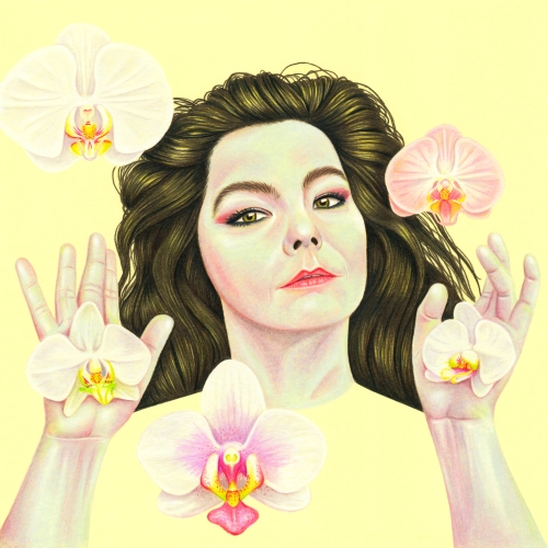 Artwork for Bjork by Mat Williams