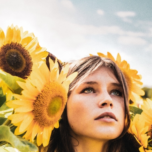 Photography for Sunflowers by Genevieve Stevenson