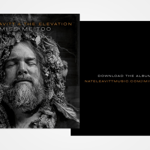 Artwork for Nate Leavitt & The Elevation by thesecretbureau