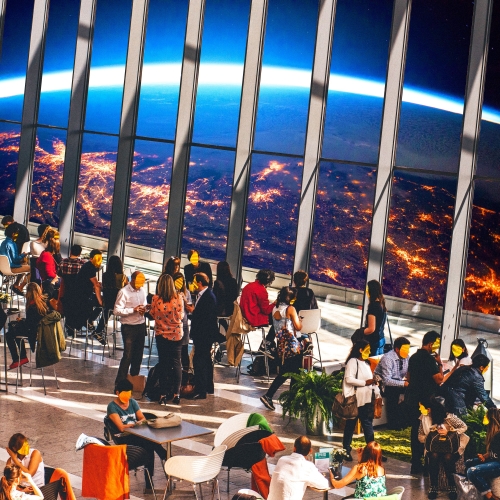 The People Look Like Flowers at Last Potential Album Cover