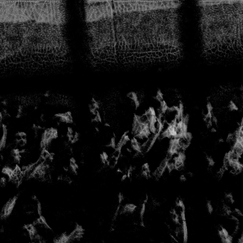 Brainwasher music video by Michael Maggiano