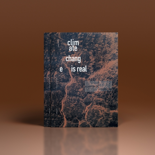 Climate Control Poster