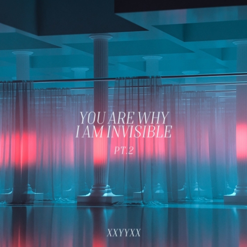 You Are Why I Am Invisible
