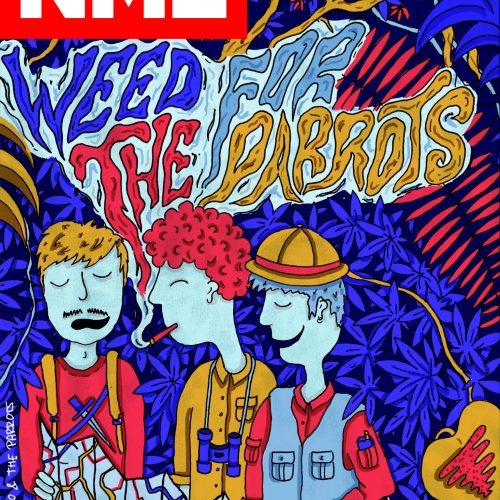 NME alternative The Parrots cover for Pilot