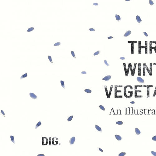 Three winter vedgetables