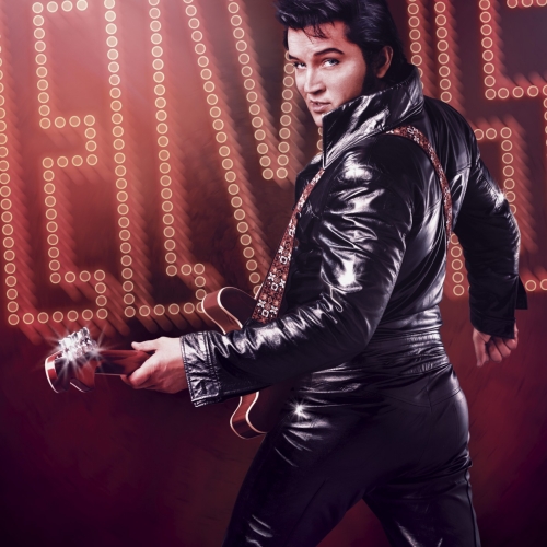 Taking Care of Elvis World Tour 2020 Poster Campaign