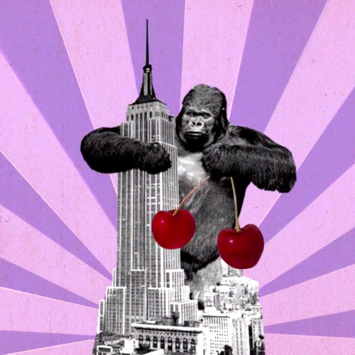 Perfect (cherry segment)