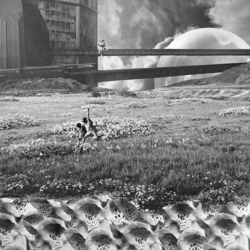 Unused Commission: 'Dystopian Love' Collage