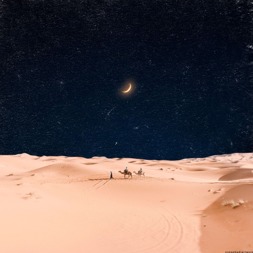 Pilgrimage Potential Album Cover