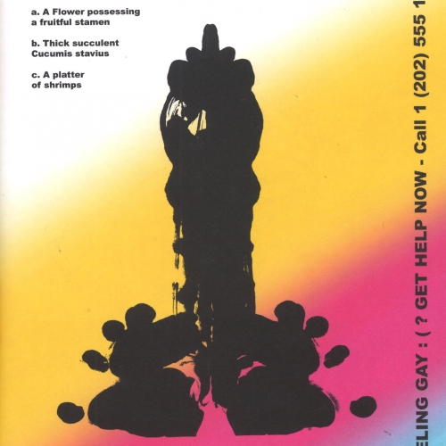 The Miseducation of Cameron Post (film)