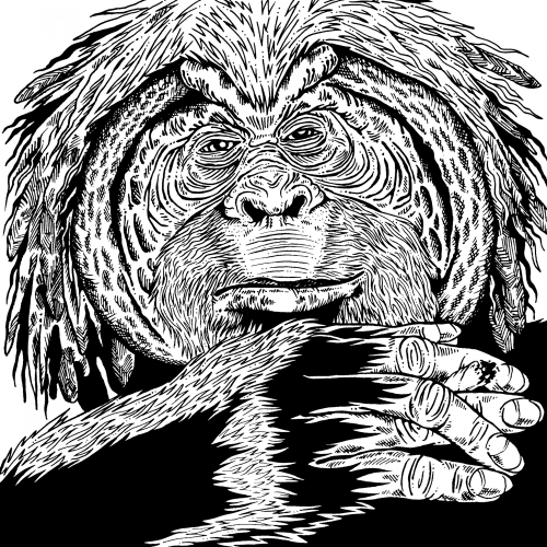 Oraggatan' Artwork for UK Jungle label Full Sitch