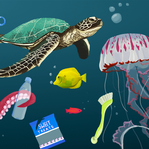 Ocean Plastics