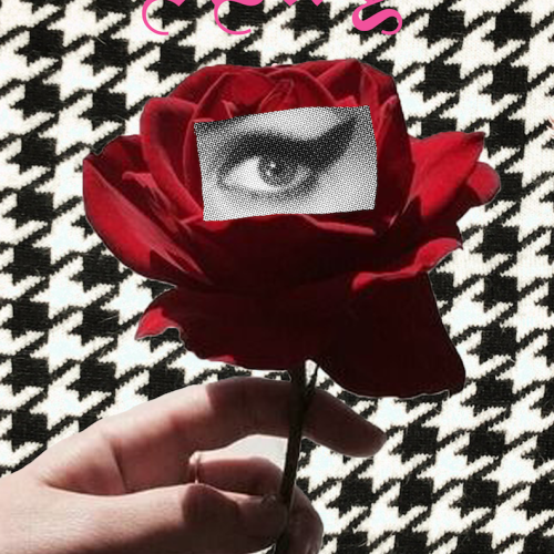 Fred Perry x Amy Winhouse (Rose)