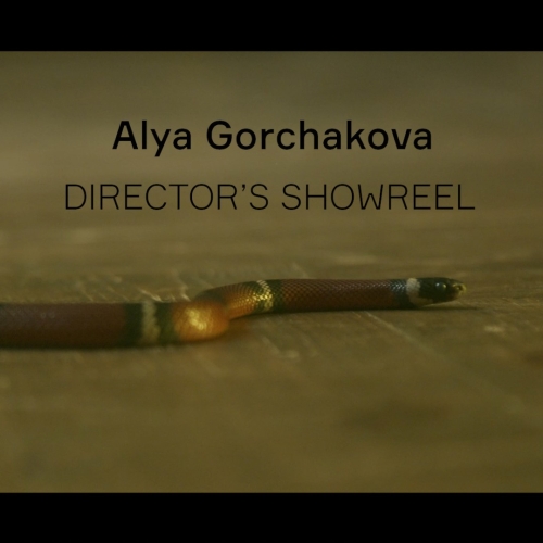 MAINedit 2021 JAN_Director.00_07_40_21.Still004c.jpg