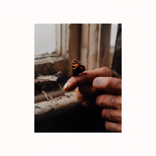 Screenshot 2021-02-10 at 16.45.31.png