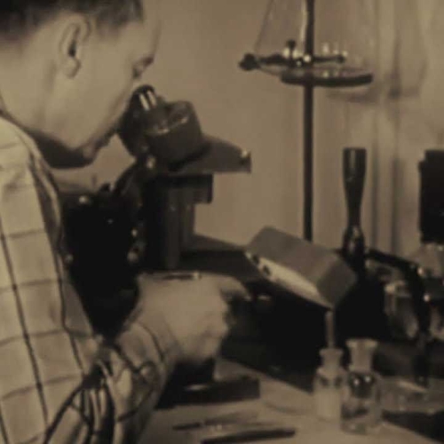 The Futureheads - Listen, Little Man!