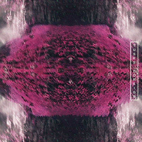 Visualiser for Tusks - Foreign by OneTenEleven