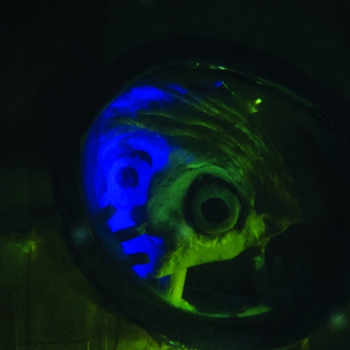 Lonesome - official music video for Sivu by Matthew Robins