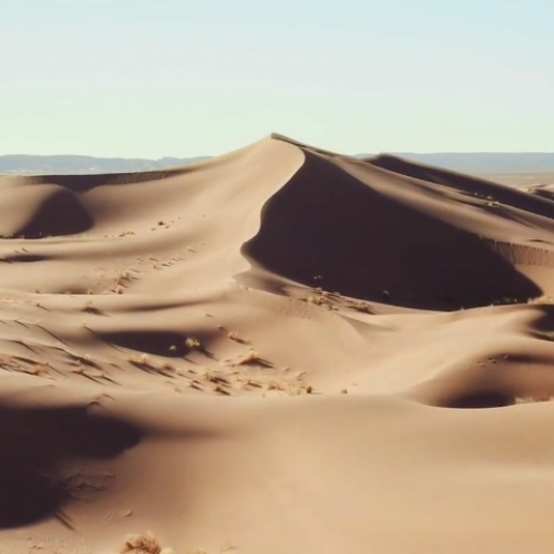 Cape Films Showreel 2020