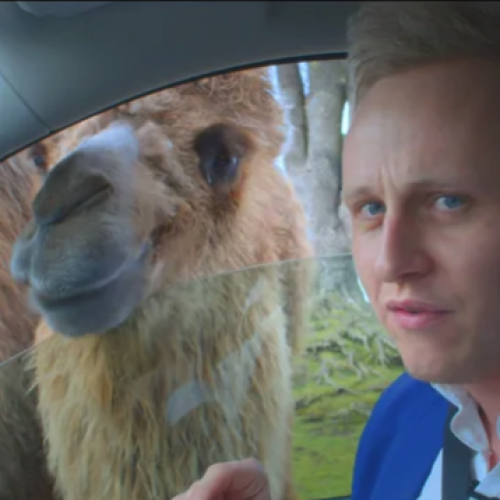 Do you want to be seen?