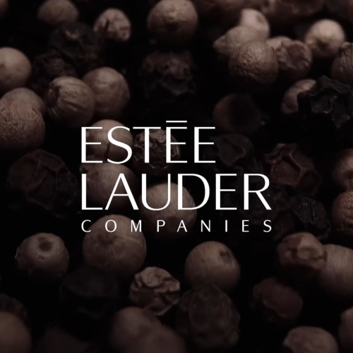 Estee Lauder: The Global House Of Prestige Beauty