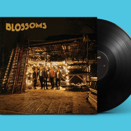 Designed all 3 albums for Blossoms